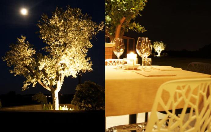 Agriturismo Colombarino Desenzano del Garda Exterior foto